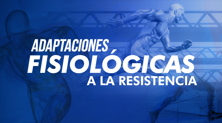 Adaptaciones Fisiológicas a la Resistencia