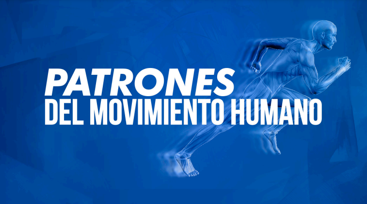 Patrones Del Movimiento Humano