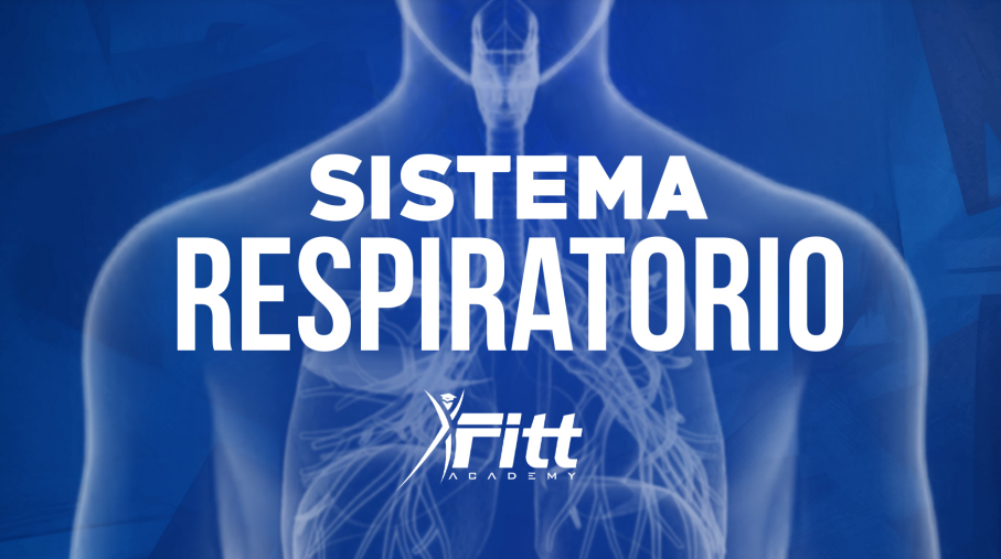 Sistema Respiratorio